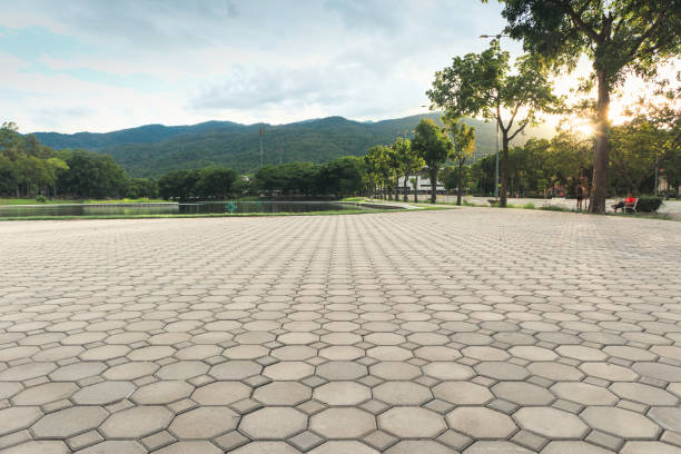 Best Concrete Paver Driveway  in Chenoa, IL