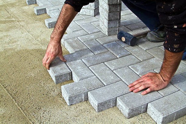 Best Driveway Repair Near Me  in Chenoa, IL
